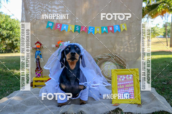 Compre suas fotos do eventoCo Joo - Festa Julina do Clube dos Salsichanos Ribeiro Preto no Fotop