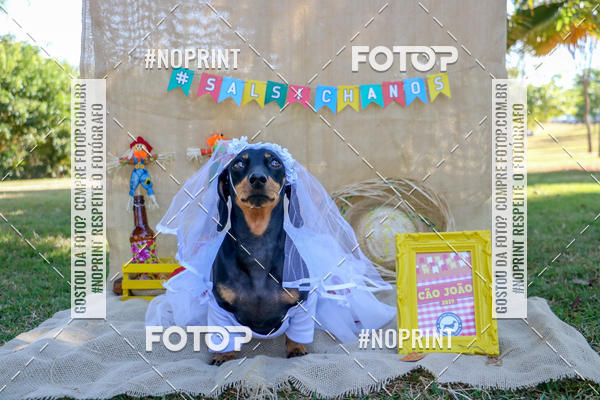Compre suas fotos do eventoCo Joo - Festa Julina do Clube dos Salsichanos Ribeiro Preto no Fotop