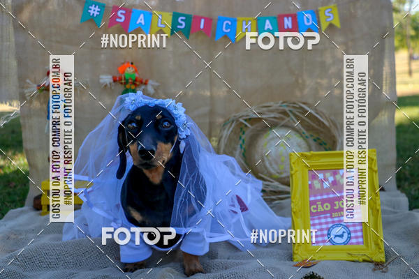 Compre suas fotos do eventoCo Joo - Festa Julina do Clube dos Salsichanos Ribeiro Preto no Fotop