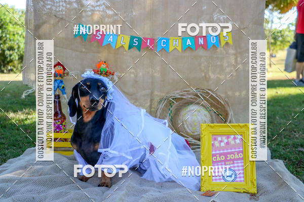 Compra tus fotos del eventoCo Joo - Festa Julina do Clube dos Salsichanos Ribeiro Preto En Fotop