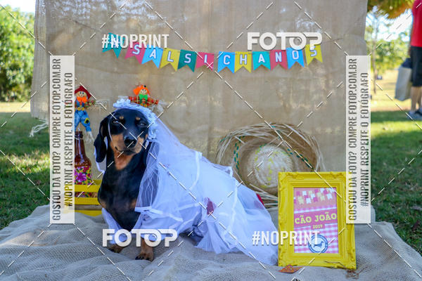 Compre suas fotos do eventoCo Joo - Festa Julina do Clube dos Salsichanos Ribeiro Preto no Fotop