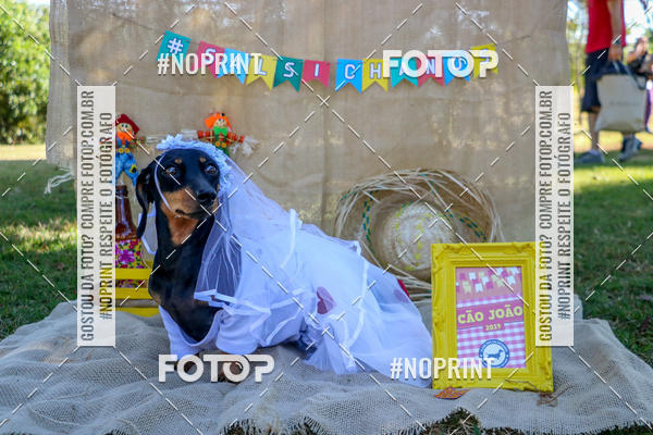 Compra tus fotos del eventoCo Joo - Festa Julina do Clube dos Salsichanos Ribeiro Preto En Fotop