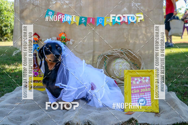 Compra tus fotos del eventoCo Joo - Festa Julina do Clube dos Salsichanos Ribeiro Preto En Fotop