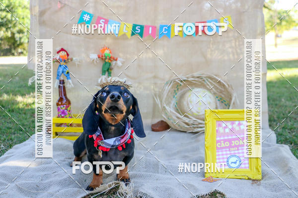 Compra tus fotos del eventoCo Joo - Festa Julina do Clube dos Salsichanos Ribeiro Preto En Fotop