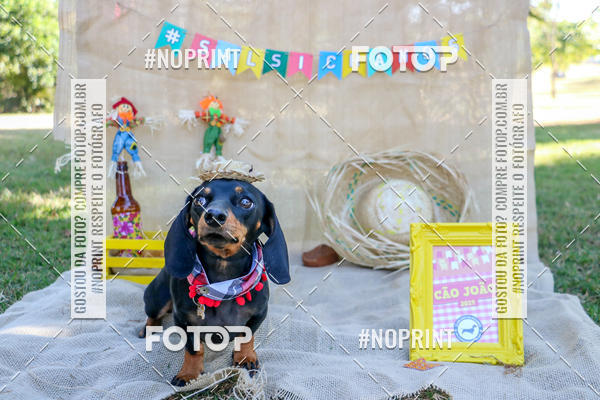 Compra tus fotos del eventoCo Joo - Festa Julina do Clube dos Salsichanos Ribeiro Preto En Fotop