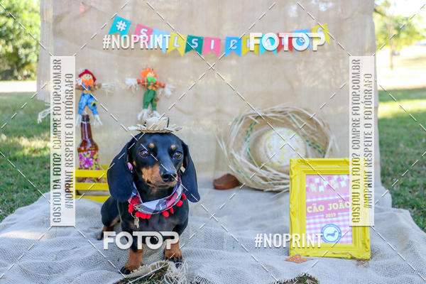 Compra tus fotos del eventoCo Joo - Festa Julina do Clube dos Salsichanos Ribeiro Preto En Fotop