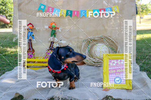 Compra tus fotos del eventoCo Joo - Festa Julina do Clube dos Salsichanos Ribeiro Preto En Fotop