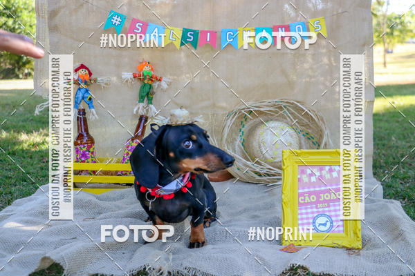 Compra tus fotos del eventoCo Joo - Festa Julina do Clube dos Salsichanos Ribeiro Preto En Fotop