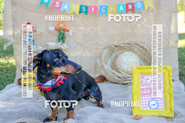 Compra tus fotos del eventoCo Joo - Festa Julina do Clube dos Salsichanos Ribeiro Preto En Fotop