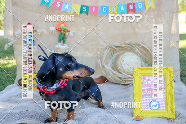 Compra tus fotos del eventoCo Joo - Festa Julina do Clube dos Salsichanos Ribeiro Preto En Fotop