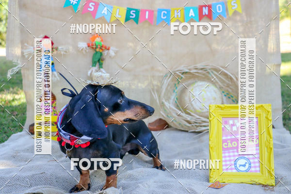Compra tus fotos del eventoCo Joo - Festa Julina do Clube dos Salsichanos Ribeiro Preto En Fotop