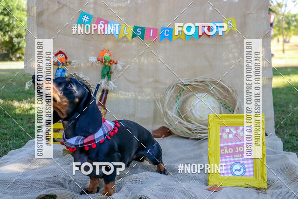 Compra tus fotos del eventoCo Joo - Festa Julina do Clube dos Salsichanos Ribeiro Preto En Fotop