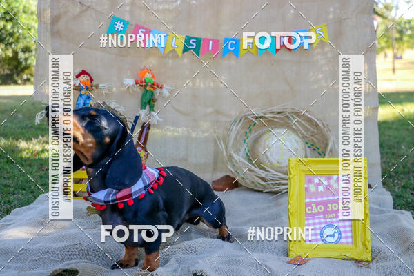 Compra tus fotos del eventoCo Joo - Festa Julina do Clube dos Salsichanos Ribeiro Preto En Fotop