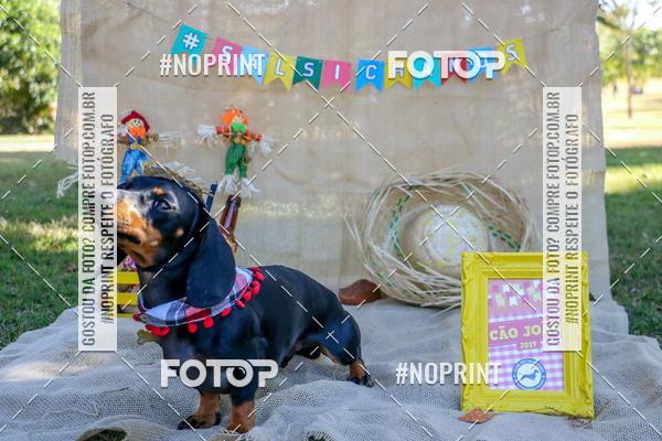 Compra tus fotos del eventoCo Joo - Festa Julina do Clube dos Salsichanos Ribeiro Preto En Fotop