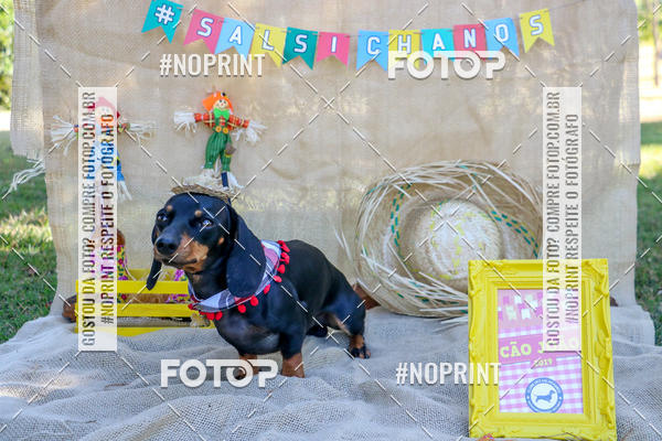 Compra tus fotos del eventoCo Joo - Festa Julina do Clube dos Salsichanos Ribeiro Preto En Fotop