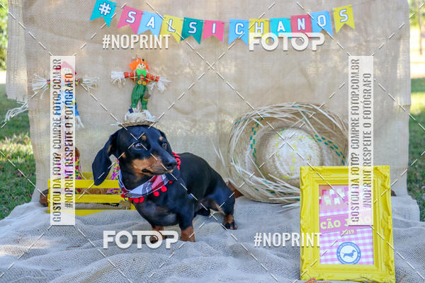 Compra tus fotos del eventoCo Joo - Festa Julina do Clube dos Salsichanos Ribeiro Preto En Fotop