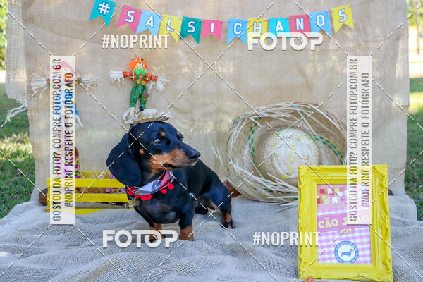 Compra tus fotos del eventoCo Joo - Festa Julina do Clube dos Salsichanos Ribeiro Preto En Fotop