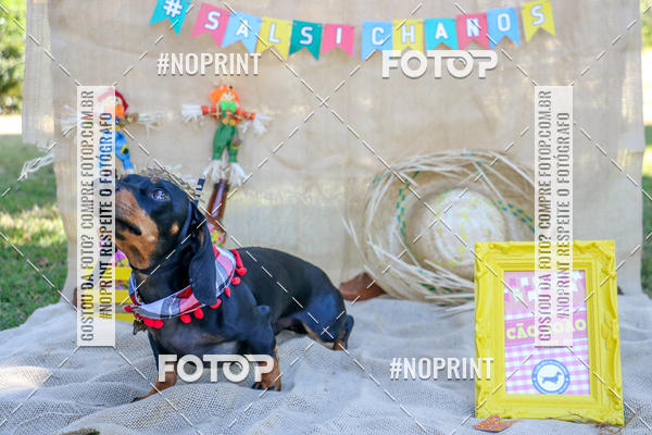 Compra tus fotos del eventoCo Joo - Festa Julina do Clube dos Salsichanos Ribeiro Preto En Fotop