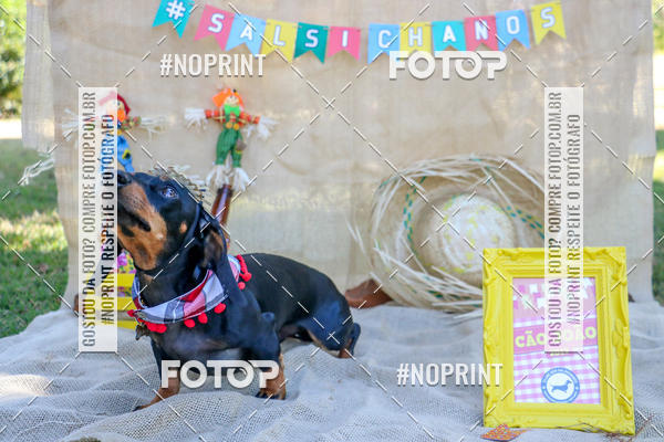 Compra tus fotos del eventoCo Joo - Festa Julina do Clube dos Salsichanos Ribeiro Preto En Fotop