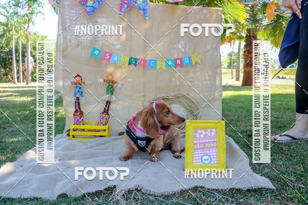 Compra tus fotos del eventoCo Joo - Festa Julina do Clube dos Salsichanos Ribeiro Preto En Fotop