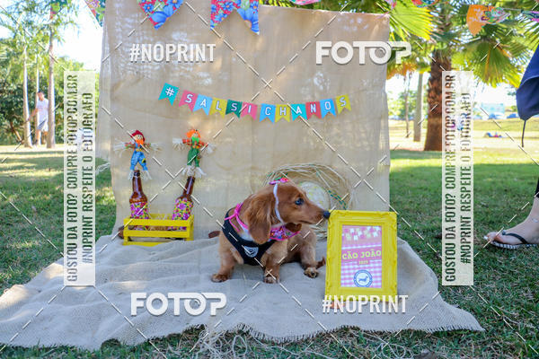 Compra tus fotos del eventoCo Joo - Festa Julina do Clube dos Salsichanos Ribeiro Preto En Fotop