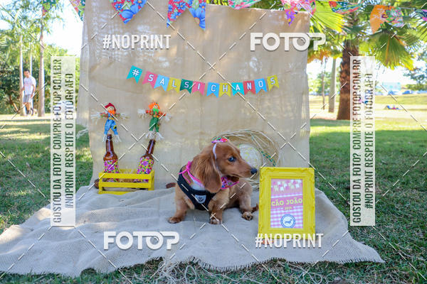 Compra tus fotos del eventoCo Joo - Festa Julina do Clube dos Salsichanos Ribeiro Preto En Fotop