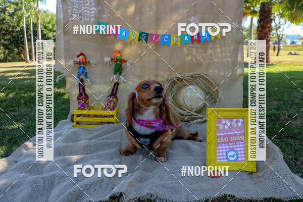 Compra tus fotos del eventoCo Joo - Festa Julina do Clube dos Salsichanos Ribeiro Preto En Fotop