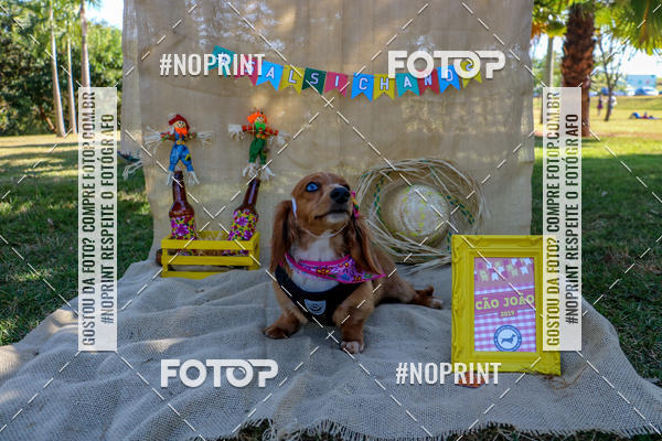 Compra tus fotos del eventoCo Joo - Festa Julina do Clube dos Salsichanos Ribeiro Preto En Fotop