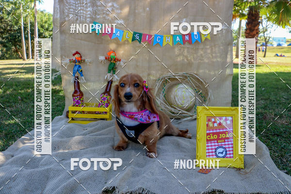 Compra tus fotos del eventoCo Joo - Festa Julina do Clube dos Salsichanos Ribeiro Preto En Fotop