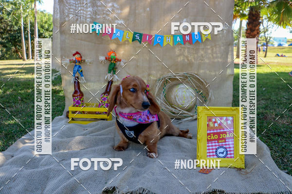 Compra tus fotos del eventoCo Joo - Festa Julina do Clube dos Salsichanos Ribeiro Preto En Fotop