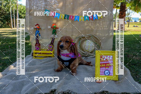 Compra tus fotos del eventoCo Joo - Festa Julina do Clube dos Salsichanos Ribeiro Preto En Fotop