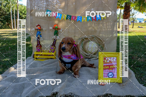 Compra tus fotos del eventoCo Joo - Festa Julina do Clube dos Salsichanos Ribeiro Preto En Fotop