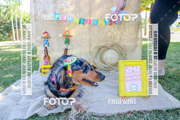 Compra tus fotos del eventoCo Joo - Festa Julina do Clube dos Salsichanos Ribeiro Preto En Fotop