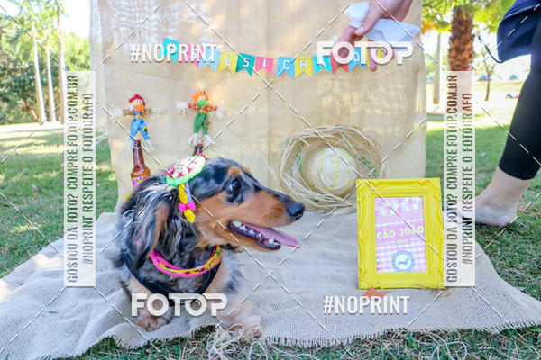 Compra tus fotos del eventoCo Joo - Festa Julina do Clube dos Salsichanos Ribeiro Preto En Fotop