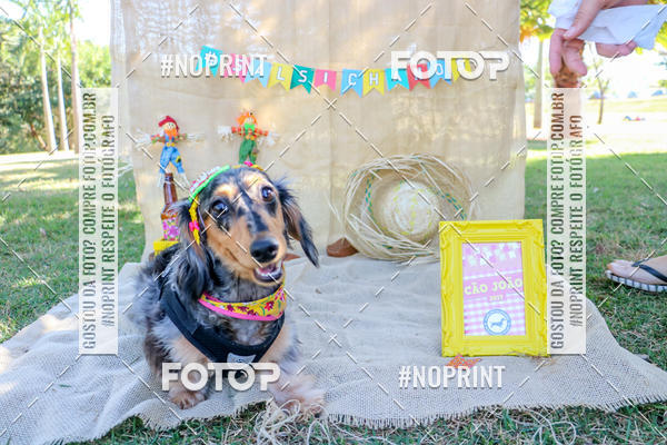 Compra tus fotos del eventoCo Joo - Festa Julina do Clube dos Salsichanos Ribeiro Preto En Fotop