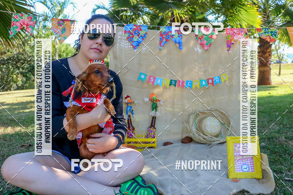 Compra tus fotos del eventoCo Joo - Festa Julina do Clube dos Salsichanos Ribeiro Preto En Fotop