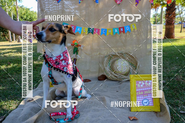 Compra tus fotos del eventoCo Joo - Festa Julina do Clube dos Salsichanos Ribeiro Preto En Fotop