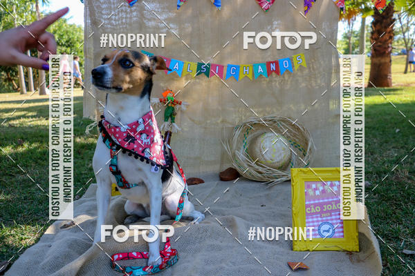 Compra tus fotos del eventoCo Joo - Festa Julina do Clube dos Salsichanos Ribeiro Preto En Fotop