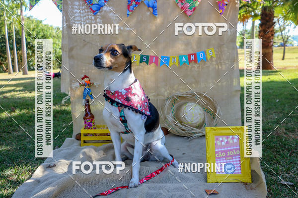 Compra tus fotos del eventoCo Joo - Festa Julina do Clube dos Salsichanos Ribeiro Preto En Fotop