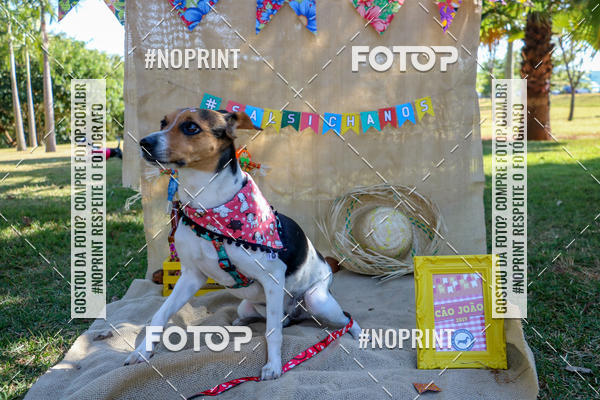 Compra tus fotos del eventoCo Joo - Festa Julina do Clube dos Salsichanos Ribeiro Preto En Fotop