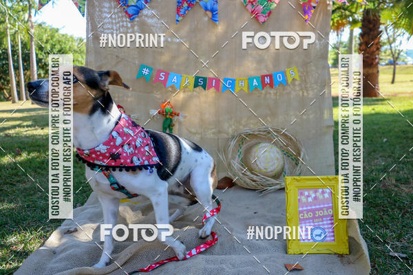 Compra tus fotos del eventoCo Joo - Festa Julina do Clube dos Salsichanos Ribeiro Preto En Fotop