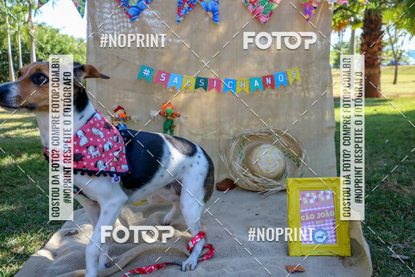 Compra tus fotos del eventoCo Joo - Festa Julina do Clube dos Salsichanos Ribeiro Preto En Fotop