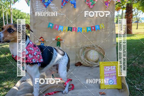 Compra tus fotos del eventoCo Joo - Festa Julina do Clube dos Salsichanos Ribeiro Preto En Fotop