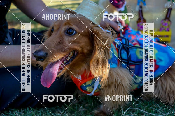 Compra tus fotos del eventoCo Joo - Festa Julina do Clube dos Salsichanos Ribeiro Preto En Fotop