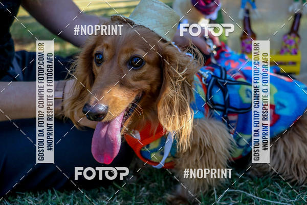 Compra tus fotos del eventoCo Joo - Festa Julina do Clube dos Salsichanos Ribeiro Preto En Fotop