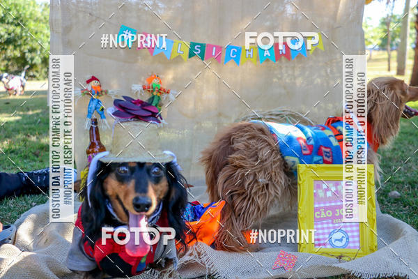 Compra tus fotos del eventoCo Joo - Festa Julina do Clube dos Salsichanos Ribeiro Preto En Fotop