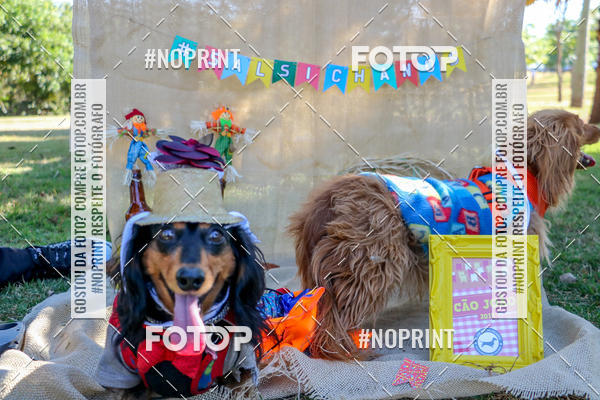 Achetez vos photos de l'vnementCo Joo - Festa Julina do Clube dos Salsichanos Ribeiro Preto sur Fotop