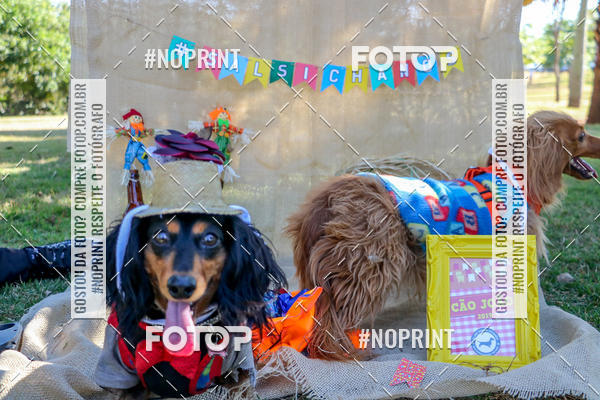 Compra tus fotos del eventoCo Joo - Festa Julina do Clube dos Salsichanos Ribeiro Preto En Fotop