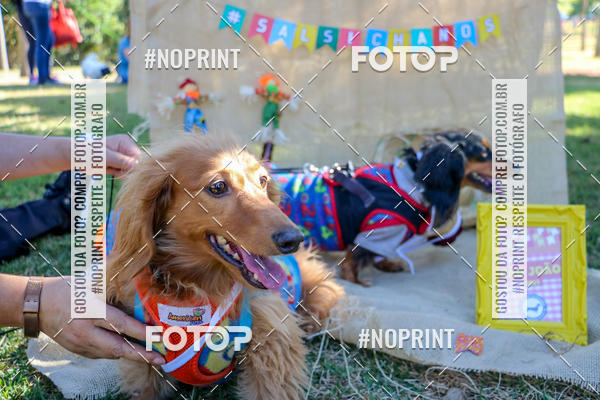 Achetez vos photos de l'vnementCo Joo - Festa Julina do Clube dos Salsichanos Ribeiro Preto sur Fotop