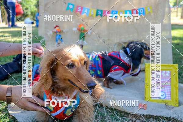 Achetez vos photos de l'vnementCo Joo - Festa Julina do Clube dos Salsichanos Ribeiro Preto sur Fotop